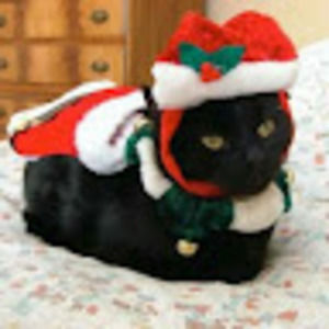 Meet your Posher, Bethany